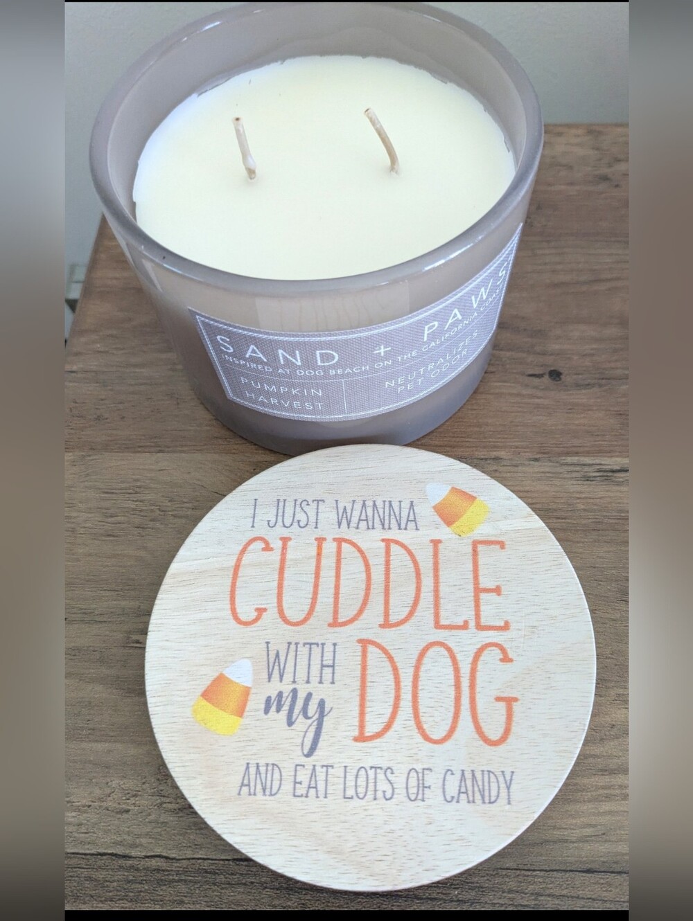 🐕 Sand + Paws Pumpkin Harvest 12 oz scented candle